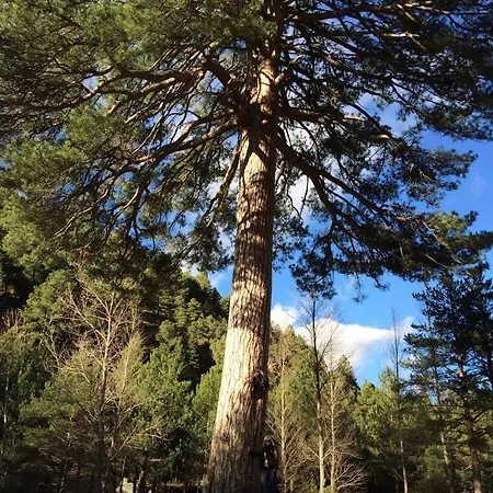 Virgen De La Vega, Valdelinares, Alcala De La Selva בקתה La Virgen de la Vega